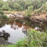 Review photo of Little Manatee River State Park Campground by Elizabeth G., October 8, 2017