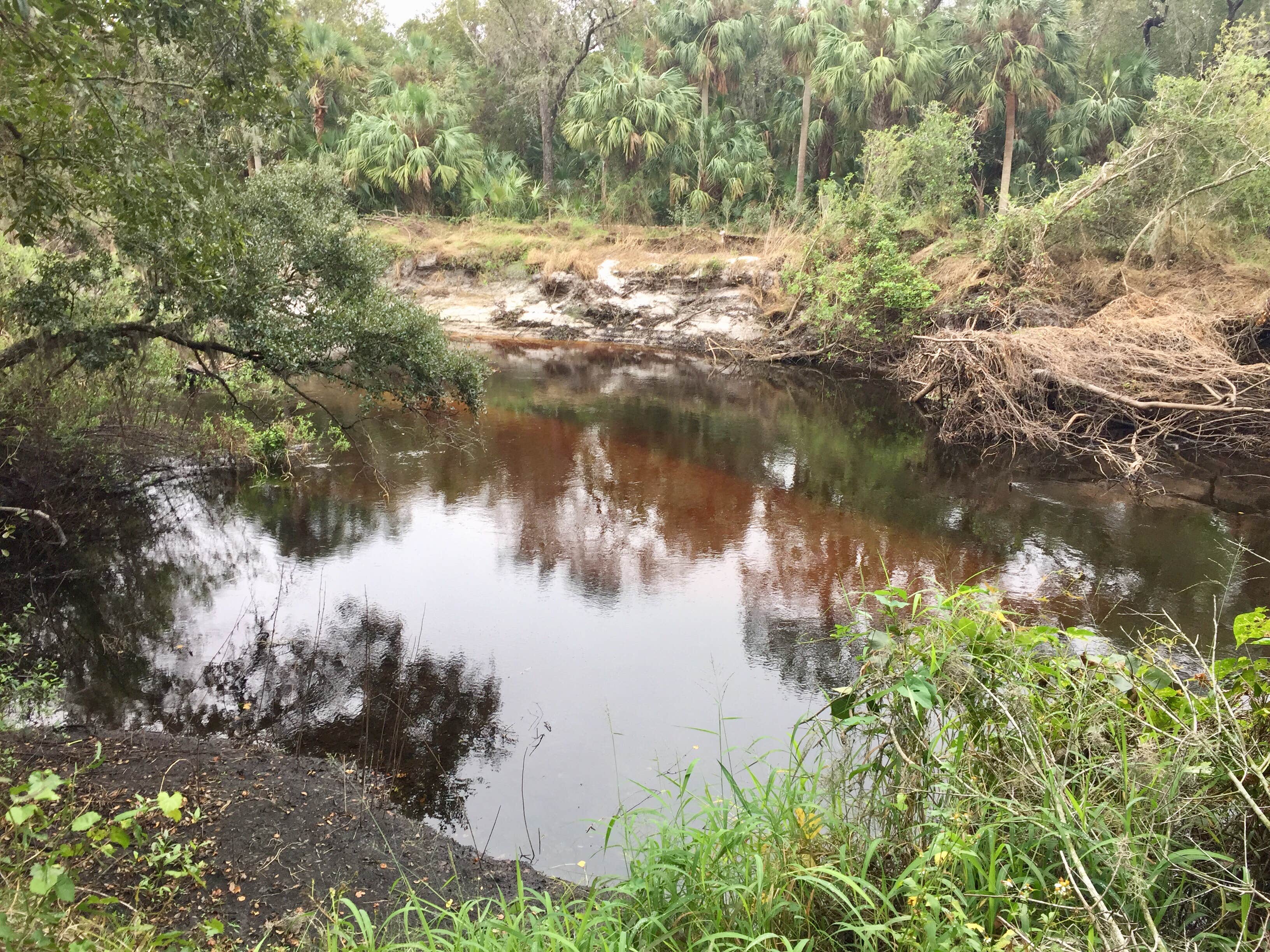 Camper submitted image from Little Manatee River State Park Campground - 3