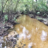 Review photo of Little Manatee River State Park Campground by Elizabeth G., October 8, 2017