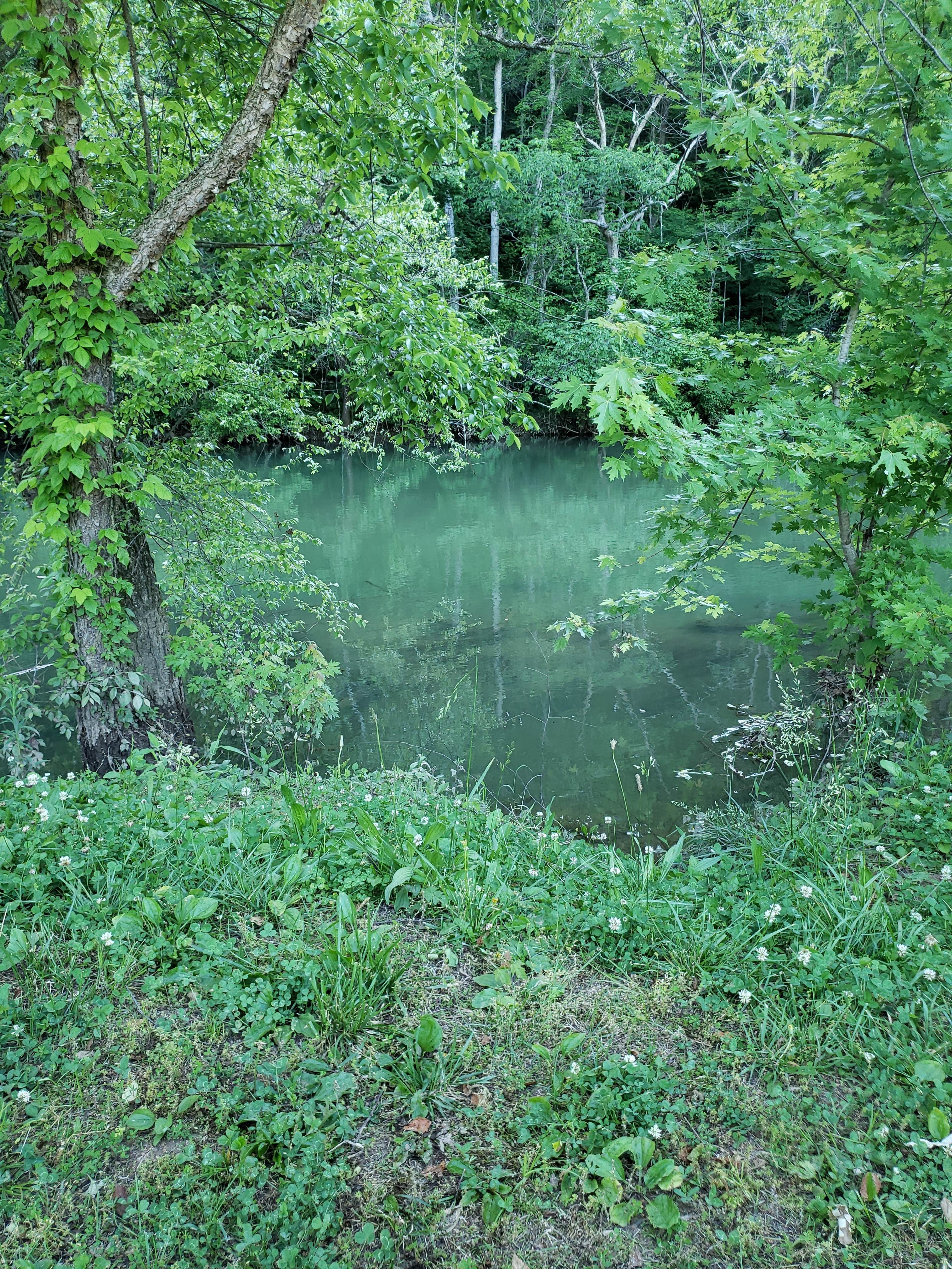 Camper-submitted photo at Bass' River Resort near Cadet, MO