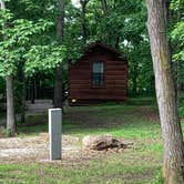 Review photo of Coyote — Mark Twain State Park by Scott M., May 30, 2020