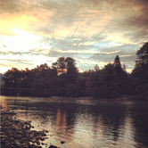 Review photo of Howard Miller Steelhead County Park by Kayko S., July 1, 2016