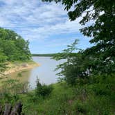 Review photo of Coyote — Mark Twain State Park by Scott M., May 30, 2020