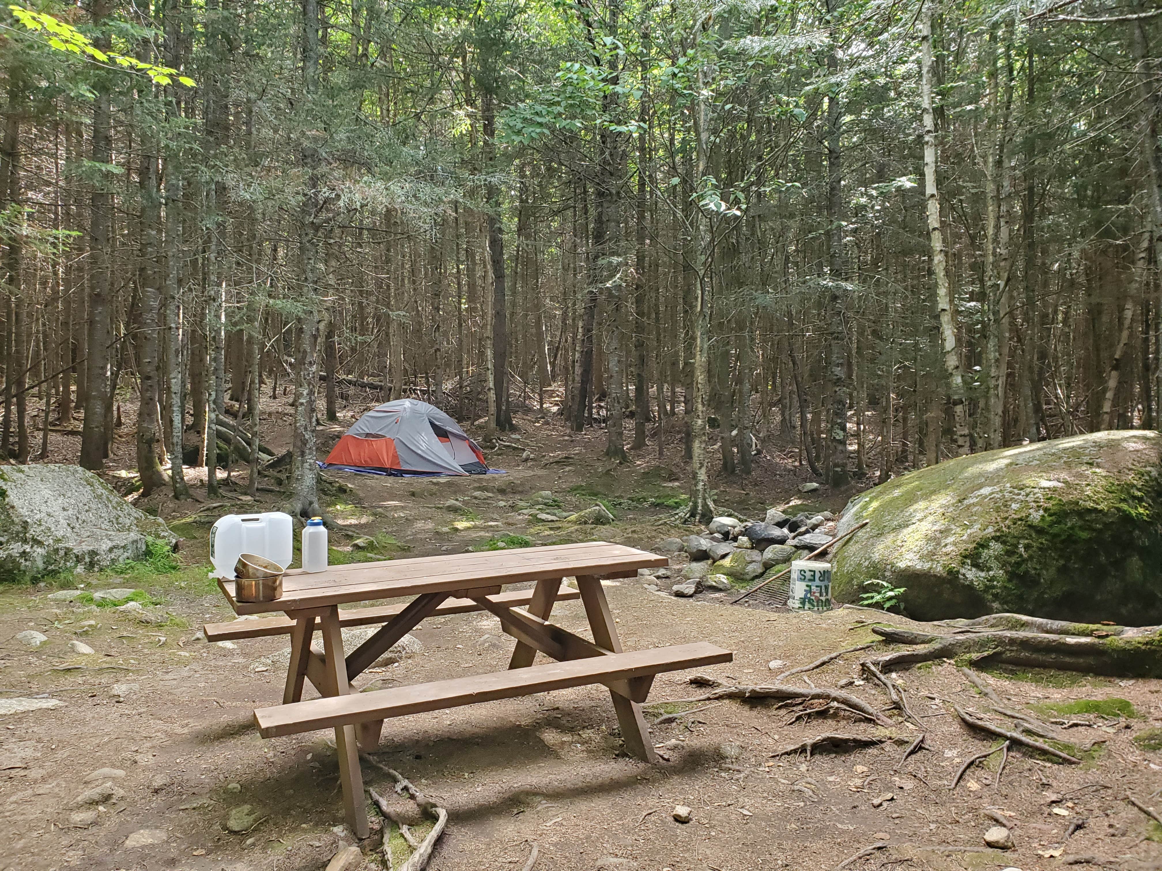 Camper submitted image from Stephen Phillips Memorial Preserve Wilderness - 5