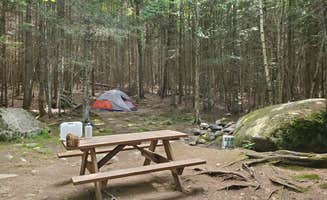 Shaina B.'s photo of tent camping at Stephen Phillips Memorial Preserve Wilderness near Colebrook, NH