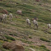 Review photo of Mueller State Park Campground by B M., May 31, 2020