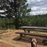 Review photo of Mueller State Park Campground by B M., May 31, 2020