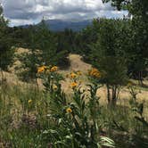 Review photo of Mueller State Park Campground by B M., May 31, 2020