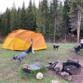 Review photo of Bear Lake Campground by Danielle S., May 31, 2020