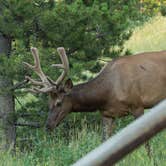 Review photo of East Portal Campground at Estes Park by B M., May 31, 2020