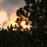 Review photo of East Portal Campground at Estes Park by B M., May 31, 2020