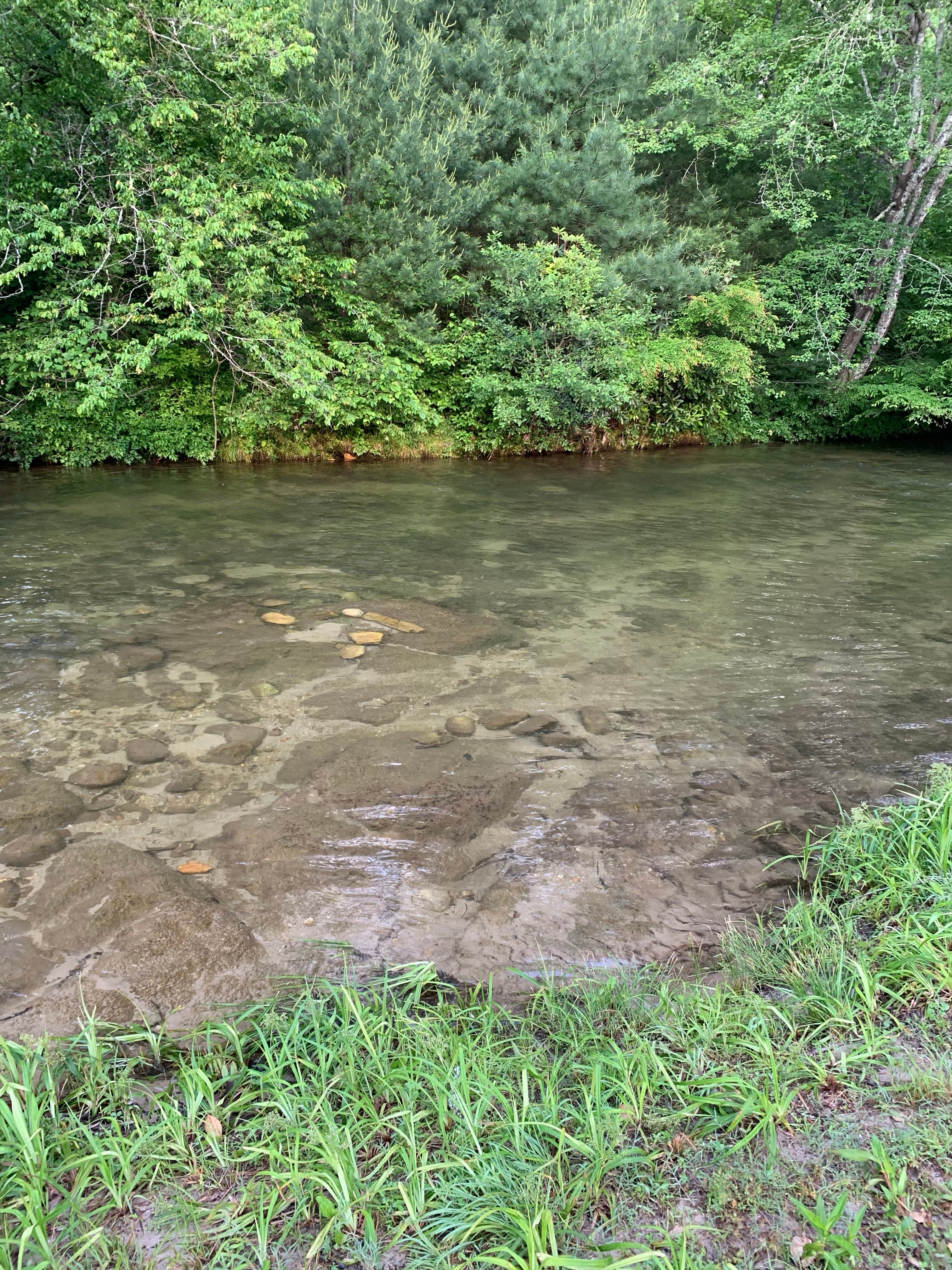 Camper-submitted photo at Steele Creek Park & Campground near Connelly Springs, NC