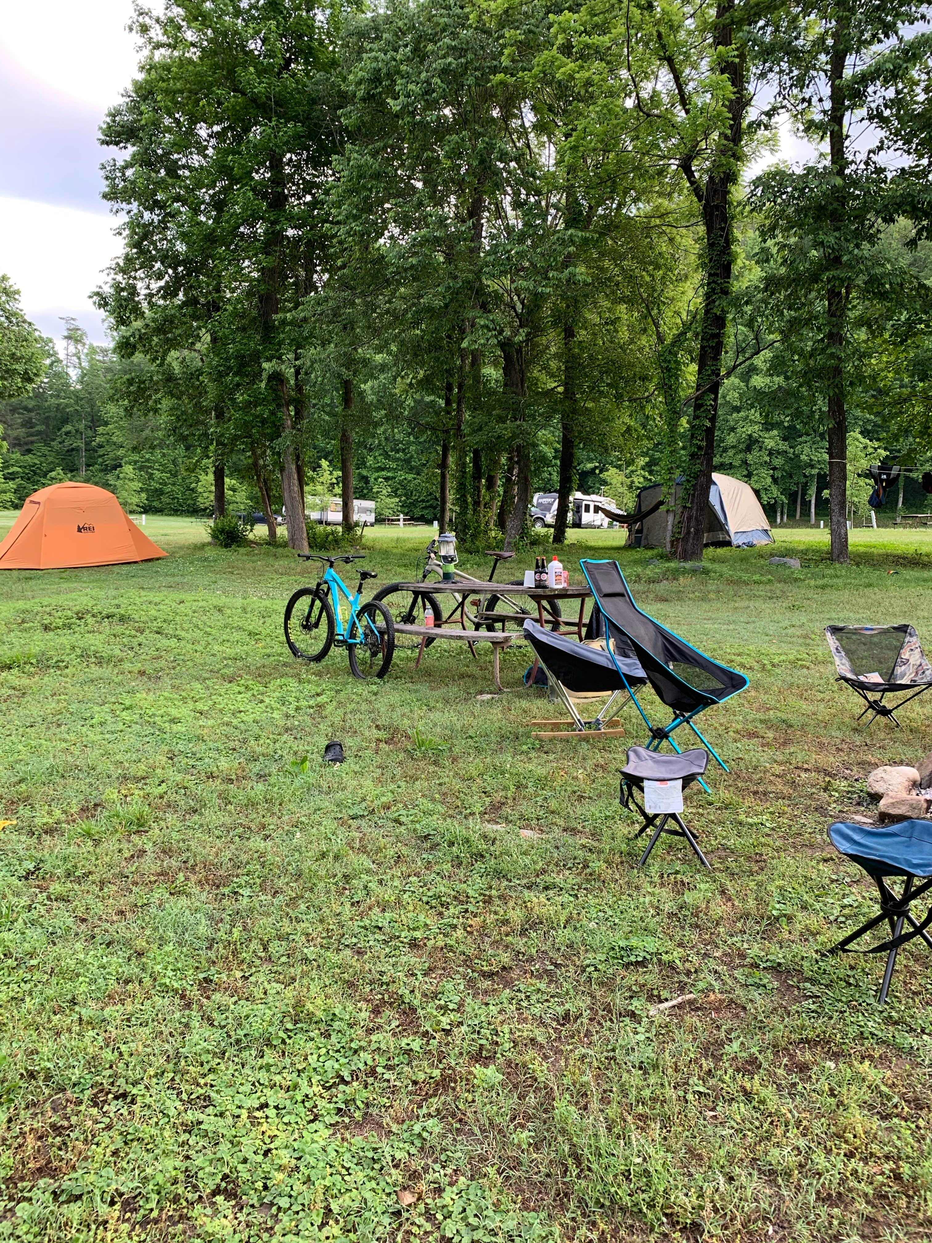Camper submitted image from Steele Creek Park & Campground - 3