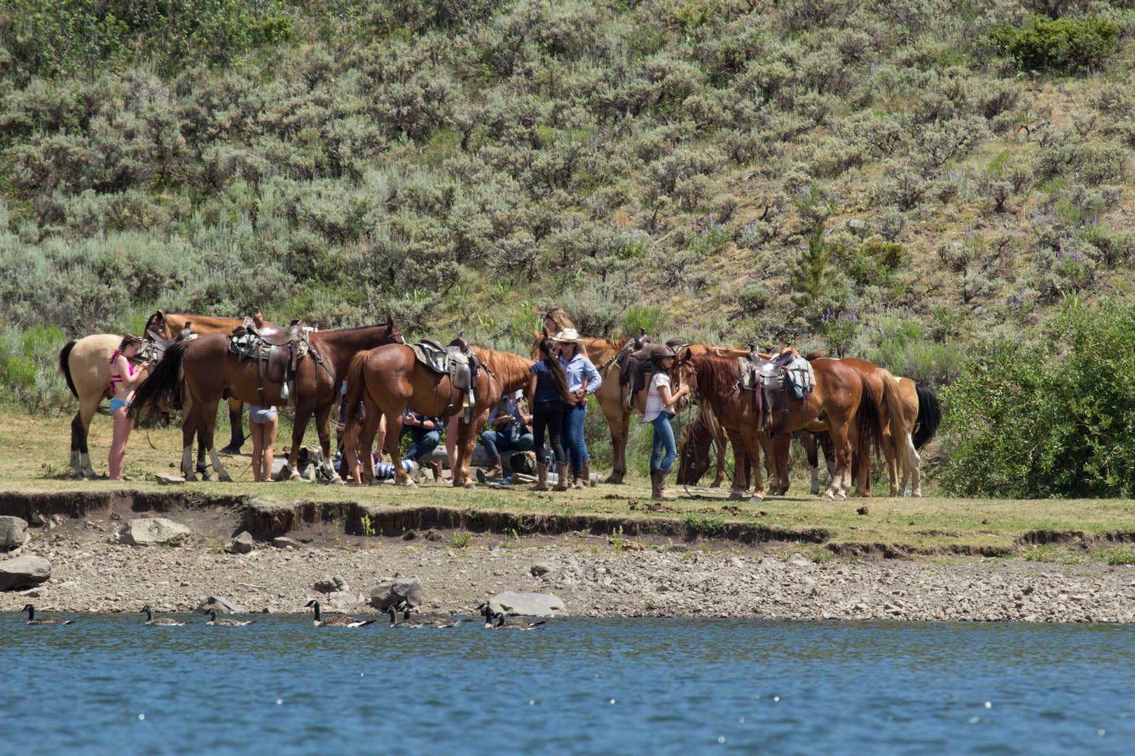 Camper-submitted photo at Arapaho National Forest Stillwater Campground near Tabernash, CO
