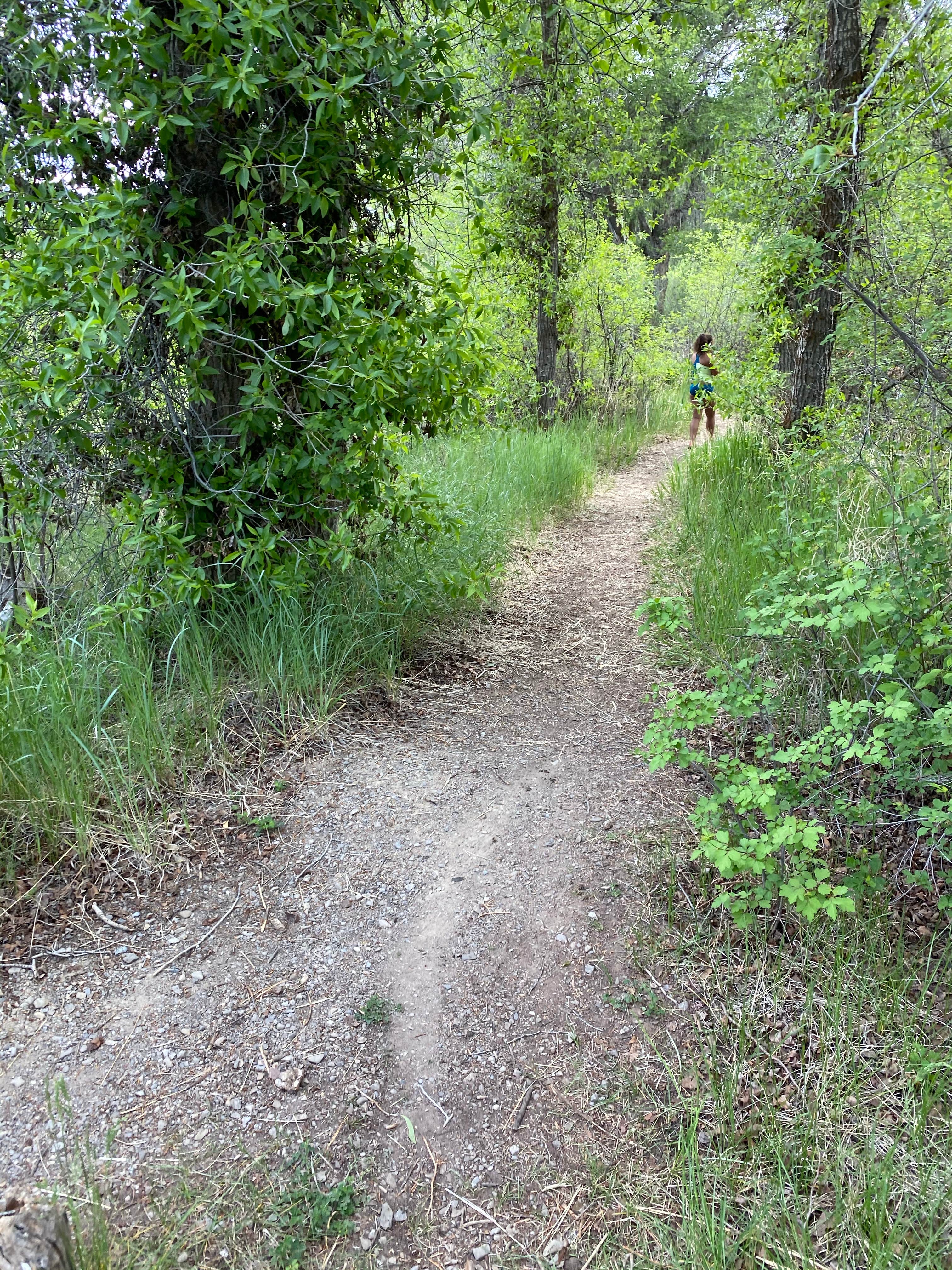 Camper-submitted photo at Diamond Campground near Santaquin, UT