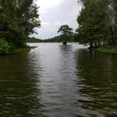 Review photo of Spring Bayou Wildlife Management Area Campground by Cat R., May 31, 2020