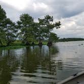 Review photo of Spring Bayou Wildlife Management Area Campground by Cat R., May 31, 2020