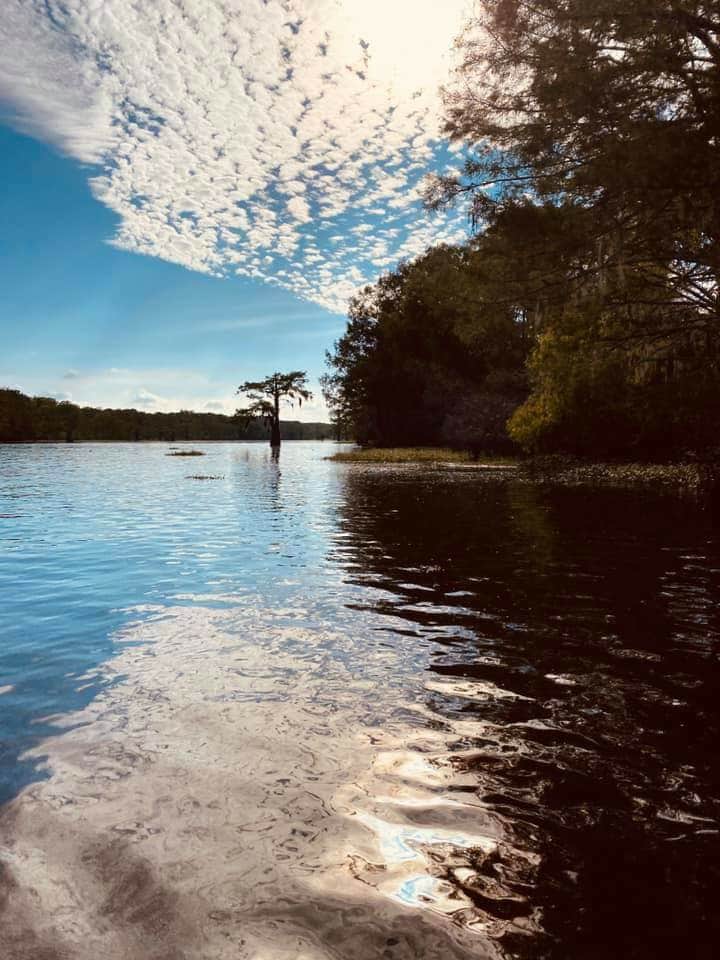 Camper submitted image from Spring Bayou Wildlife Management Area Campground - 1