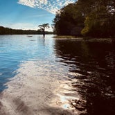 Review photo of Spring Bayou Wildlife Management Area Campground by Cat R., May 31, 2020