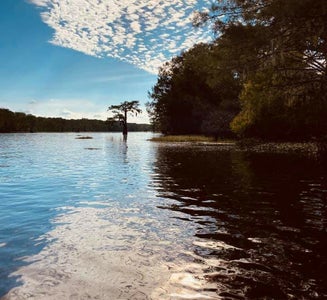 Camper-submitted photo from Spring Bayou Wildlife Management Area Campground