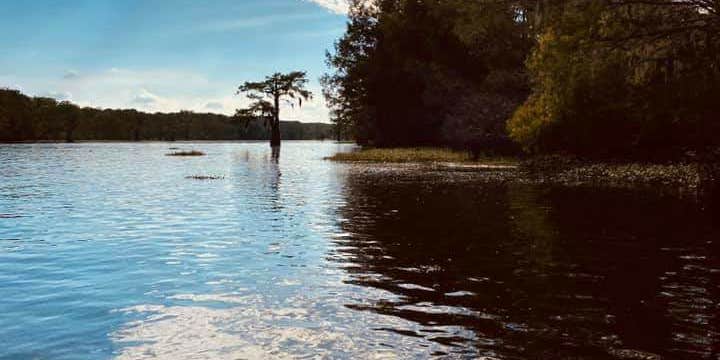 Camper submitted image from Spring Bayou Wildlife Management Area Campground
