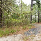 Review photo of Nickerson State Park Campground by Jean C., May 31, 2020