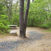 Review photo of Nickerson State Park Campground by Jean C., May 31, 2020