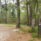 Review photo of Nickerson State Park Campground by Jean C., May 31, 2020