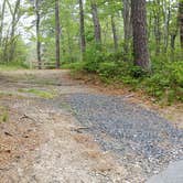 Review photo of Nickerson State Park Campground by Jean C., May 31, 2020