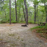 Review photo of Nickerson State Park Campground by Jean C., May 31, 2020