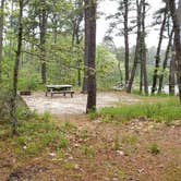 Review photo of Nickerson State Park Campground by Jean C., May 31, 2020