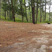 Review photo of Nickerson State Park Campground by Jean C., May 31, 2020