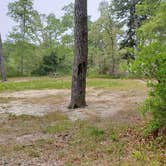 Review photo of Nickerson State Park Campground by Jean C., May 31, 2020