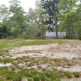 Review photo of Nickerson State Park Campground by Jean C., May 31, 2020