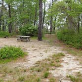 Review photo of Nickerson State Park Campground by Jean C., May 31, 2020