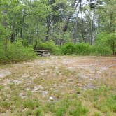 Review photo of Nickerson State Park Campground by Jean C., May 31, 2020