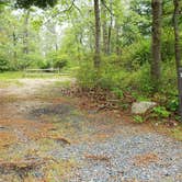 Review photo of Nickerson State Park Campground by Jean C., May 31, 2020