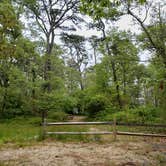 Review photo of Nickerson State Park Campground by Jean C., May 31, 2020