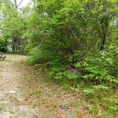 Review photo of Nickerson State Park Campground by Jean C., May 31, 2020