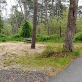 Review photo of Nickerson State Park Campground by Jean C., May 31, 2020