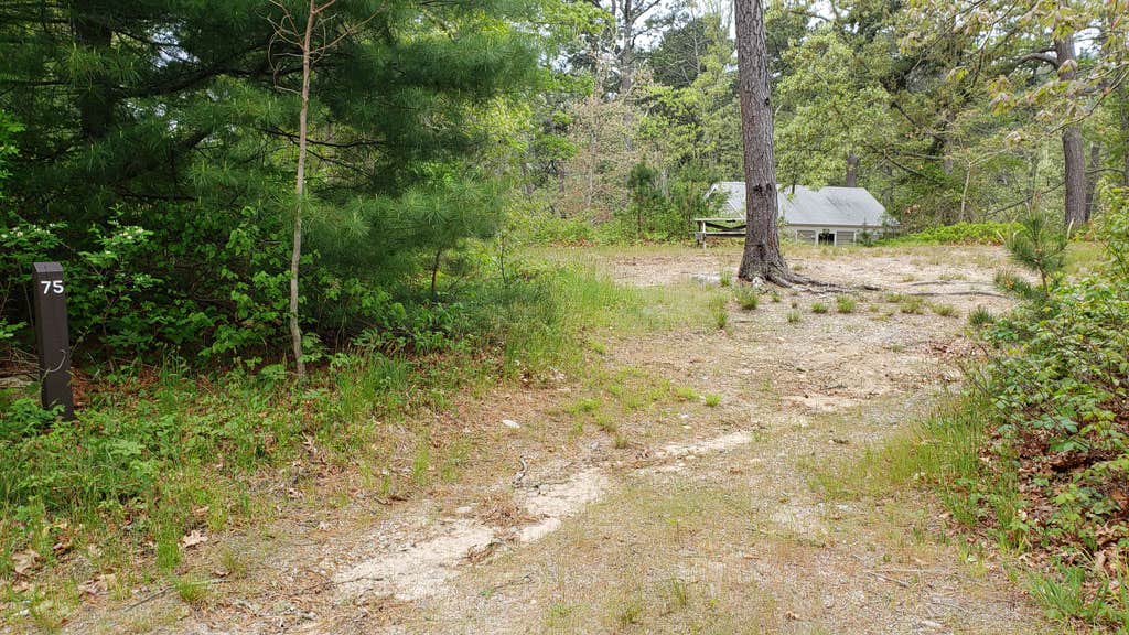 Jean C.'s photo at Nickerson State Park Campground near West Yarmouth, MA
