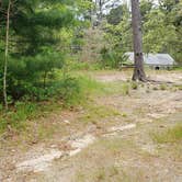 Review photo of Nickerson State Park Campground by Jean C., May 31, 2020