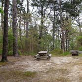 Review photo of Nickerson State Park Campground by Jean C., May 31, 2020