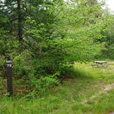 Review photo of Nickerson State Park Campground by Jean C., May 31, 2020