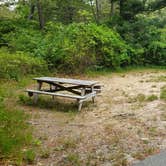 Review photo of Nickerson State Park Campground by Jean C., May 31, 2020