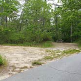 Review photo of Nickerson State Park Campground by Jean C., May 31, 2020