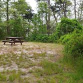 Review photo of Nickerson State Park Campground by Jean C., May 31, 2020