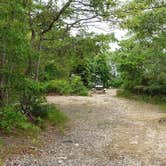 Review photo of Nickerson State Park Campground by Jean C., May 31, 2020