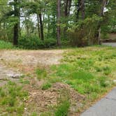 Review photo of Nickerson State Park Campground by Jean C., May 31, 2020