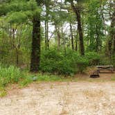 Review photo of Nickerson State Park Campground by Jean C., May 31, 2020